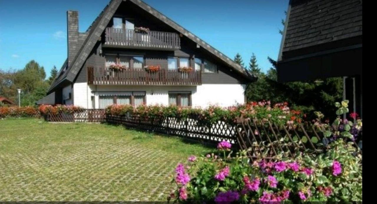 Ferienhaus-Schoenwald Im Herzen Des Schwarzwaldes 1Zimmer Wohnung Mit Terrasse App17 外观 照片
