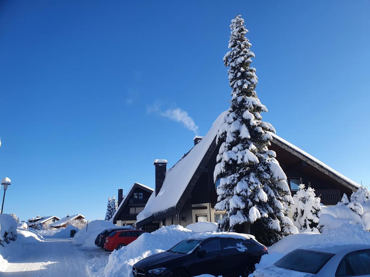 Ferienhaus-Schoenwald Im Herzen Des Schwarzwaldes 1Zimmer Wohnung Mit Terrasse App17 外观 照片