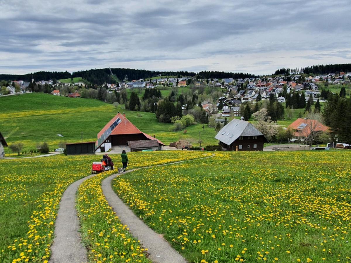 Ferienhaus-Schoenwald Im Herzen Des Schwarzwaldes 1Zimmer Wohnung Mit Terrasse App17 外观 照片